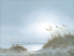 JAN293 - Misty Morning Dunes - 16x12