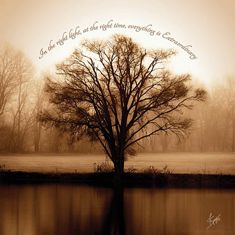 Justin Spivey JDS148 - Extraordinary  - Tree, Reflection, Inspiring, Lake, Sepia from Penny Lane Publishing