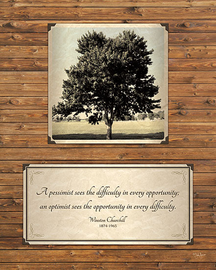 John Jones JJ834 - Opportunity  - Trees, Quote, Inspirational from Penny Lane Publishing