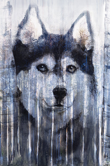 Kamdon Kreations KAM752 - KAM752 - Into the Woods - 12x18 Dog, Husky, Abstract, Pet, Birch Trees, Animals, Portrait from Penny Lane