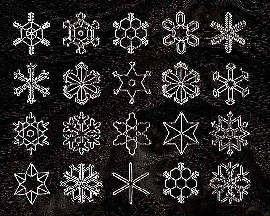 Kamdon Kreations KAM786 - KAM786 - Vintage Snowflakes - 16x12 Winter, Snowflakes, Patterns, Snowflake Shapes, Chart, Black & White, Black Background, Vintage from Penny Lane