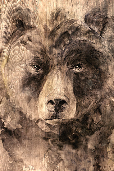 Kamdon Kreations KAM905 - KAM905 - Bear in the Woods - 12x18 Bear, Wildlife, Wood Background, Portrait, Lodge from Penny Lane
