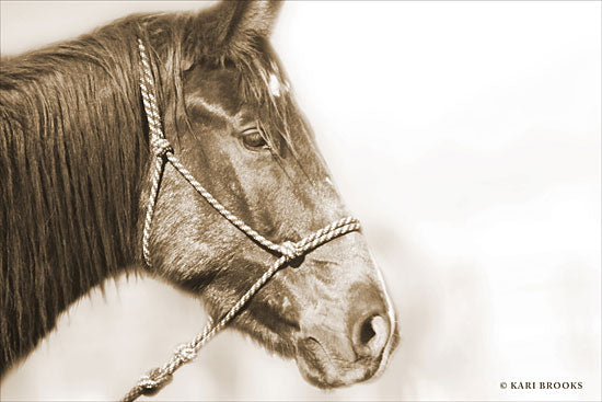 Kari Brooks KARI115 - KARI115 - Sepia Thunder     - 18x12 Photography, Horse, Sepia, Portrait from Penny Lane