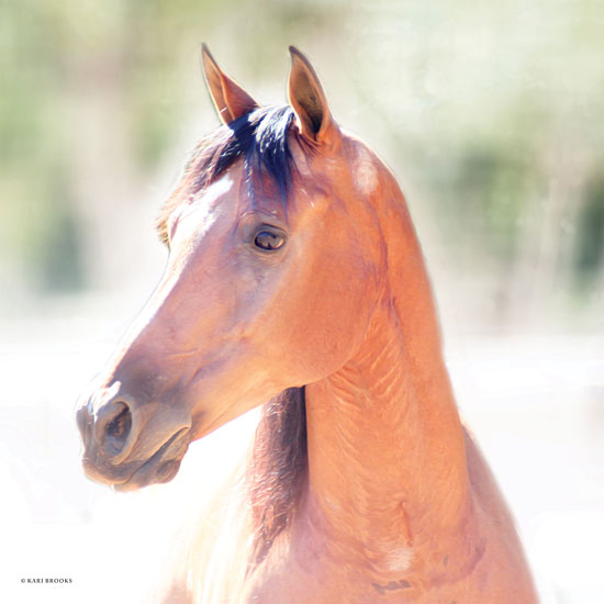 Kari Brooks KARI145 - KARI145 - The Berry - 12x12 Horse, Portrait, Selfie from Penny Lane