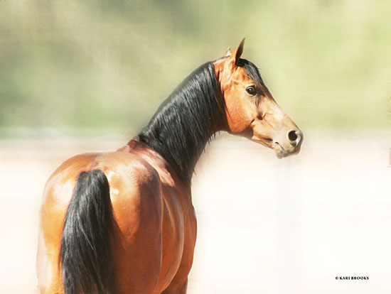 Kari Brooks KARI146 - KARI146 - Just Berry - 16x12 Horse, Backside of a Horse, Portrait from Penny Lane