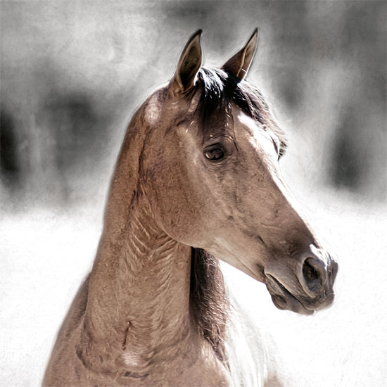New Releases | Penny Lane Fine Art & Licensing