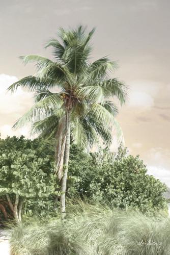 Lori Deiter LD1039 - Sanibel Island Palm - Palm Trees, Landscape, Tropical from Penny Lane Publishing