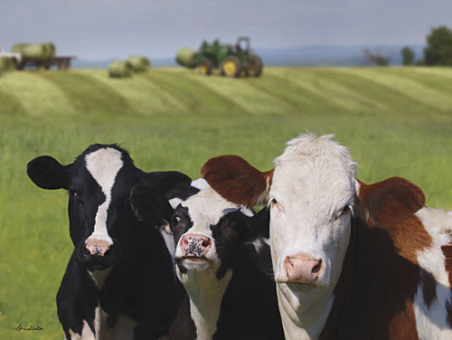 Lori Deiter LD1040 - Making Hay - Cows, Landscape, Farm from Penny Lane Publishing