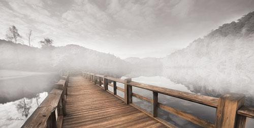 Lori Deiter LD1053 - Lake Cherokee Dock - Lake, Walkway, Landscape from Penny Lane Publishing