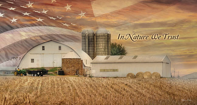 Lori Deiter LD1115 - In Nature We Trust - Farm, American Flag, Barn, Field, Nature, Inspiring from Penny Lane Publishing