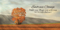 LD1117 - Embrace Change - 18x9