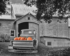 LD1119GP - Pumpkin Truck