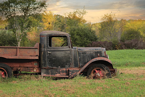 Lori Deiter LD1134 - Going Nowhere - Truck, Rusty, Field from Penny Lane Publishing