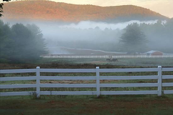 Lori Deiter LD1136 - Hudson Valley Mist - Fence, Fog, Hillside, Barn, Farm, Horses from Penny Lane Publishing