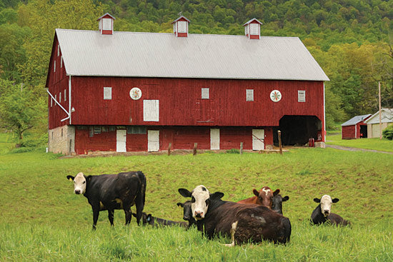 Lori Deiter LD1139 - Red Barn - Barn, Cows, Field, Farm, Landscape from Penny Lane Publishing