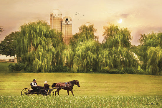 Lori Deiter LD1142 - Amish Buggy Ride - Amish, Buggy, Trees, Field, Weeping Willows from Penny Lane Publishing