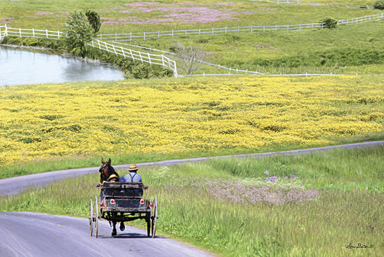 Lori Deiter LD1143 - Spring in Amish Country - Amish, Buggy, Path, Field, Pond, Road from Penny Lane Publishing