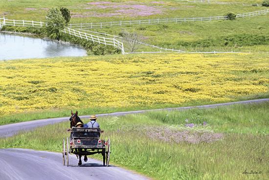 Lori Deiter LD1143 - Spring in Amish Country - Amish, Buggy, Path, Field, Pond, Road from Penny Lane Publishing