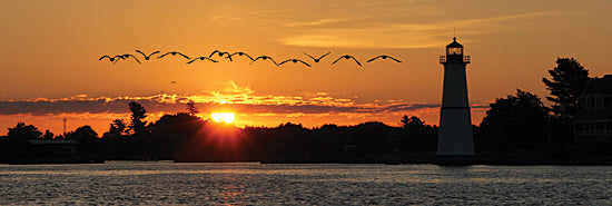 Lori Deiter LD122 - LD122 - Sunset Flight - 36x12 Photography, Sunset, Lighthouse, Coastal, Ocean, Birds, Landscape from Penny Lane