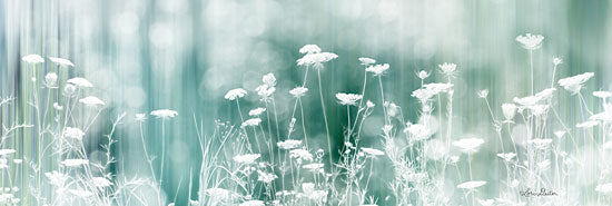 Lori Deiter LD1566 - Dreamy Meadow - 24x8 Meadow, Filter, Wildflowers, Queen Ann's Lace from Penny Lane
