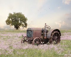 LD1665 - Tractor at Sunset   - 16x12