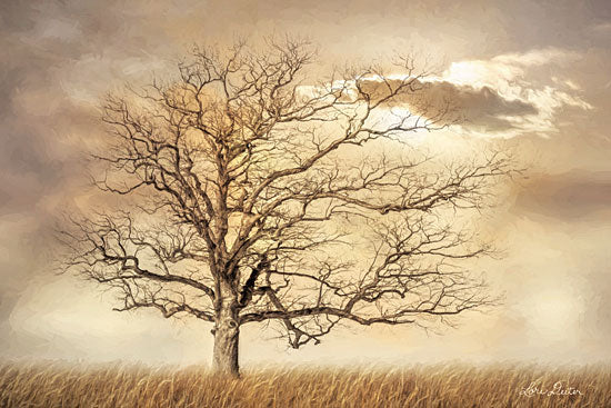 Lori Deiter LD1727 - LD1727 - Golden Tree     - 18x12 Landscape, Tree, Sunset from Penny Lane