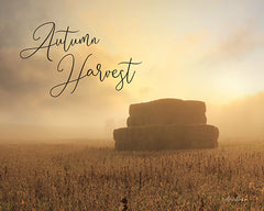 LD1816 - Autumn Hay Harvest     - 16x12