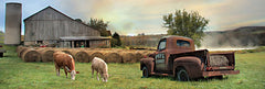 LD1817A - Tioga County Farmland  - 36x12