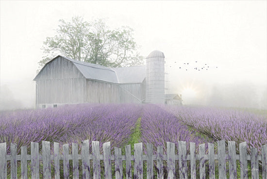 Lori Deiter LD1874 - LD1874 - Summer Blessings - 18x12 Lavender, Barn, Farm, Lavender Farm, Summer, Photography from Penny Lane