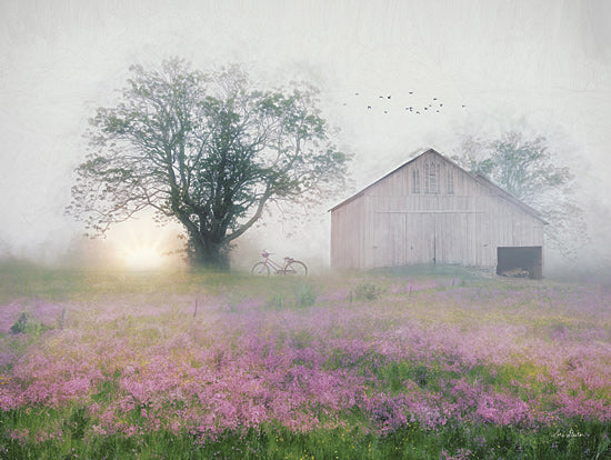 Lori Deiter LD1875 - LD1875 - Summer Sunrise - 16x12 Lavender, Barn, Farm, Lavender Farm, Summer, Photography, Summer from Penny Lane