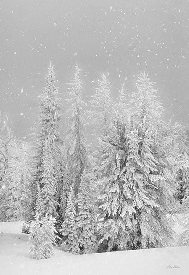 Lori Deiter LD1910 - LD1910 - Snowy Lava Mountain   - 12x18 Snow, Mountain, Trees, Winter, Pine Trees from Penny Lane