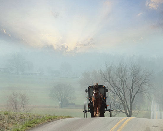 Lori Deiter LD1915 - LD1915 - Beyond the Horizon - 16x12 Photography, Horse, Buggy, Trees, Landscape from Penny Lane