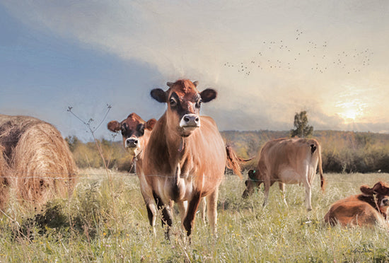 Lori Deiter LD1943 - LD1943 - Cow Photobomb - 18x12 Cows, Farm, Pasture, Grazing, Landscape, Photography from Penny Lane