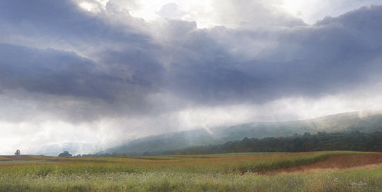 Lori Deiter LD1945 - LD1945 - Foggy Farmland - 18x9 Farmland, Landscape, Nature, Fog, Weather, Photography from Penny Lane