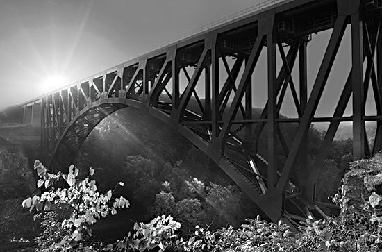 Lori Deiter LD1974 - LD1974 - Sunrise at Letchworth Black & White - 18x12 Bridge, Sunrise, Black & White, Photography, Letchworth from Penny Lane