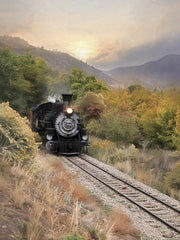 LD2011 - Durango Train at Sunset - 12x16