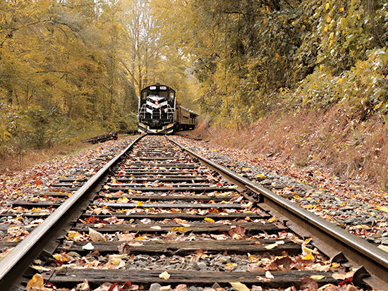 Lori Deiter LD2016 - LD2016 - Great Smoky Mountains Railroad - 16x12 Train, Train Tracks, Photography, Fall, Trees from Penny Lane