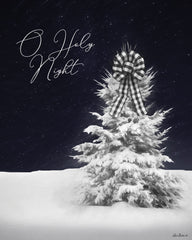 LD2041 - O Holy Night - 12x16