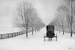 LD2055 - Snowy Amish Lane - 18x12