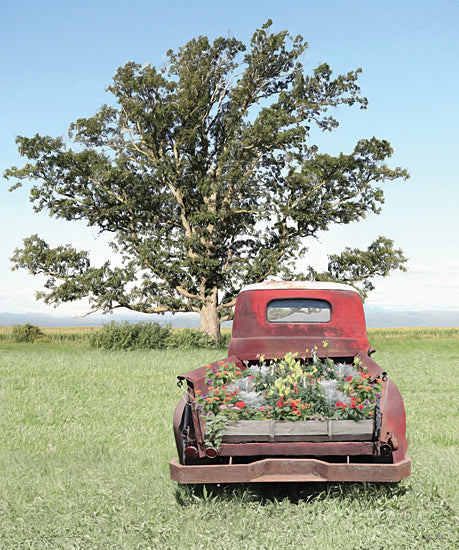 Lori Deiter LD2079 - LD2079 - Old Red Flower Truck - 12x16 Red Truck, Truck, Flowers, Tree, Photography, Antique from Penny Lane