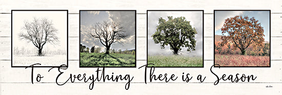Lori Deiter LD2154A - LD2154A - To Everything There is a Season   - 36x12 To Everything There is a Season, Trees, Winter, Spring, Summer, Fall, Seasons, Photography from Penny Lane