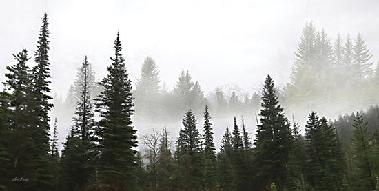 Lori Deiter LD2210 - LD2210 - Schwabachers Landing Trees - 18x9 Trees, Pine Trees, Morning Mist, Lake, Photography, Morning, Black & White from Penny Lane