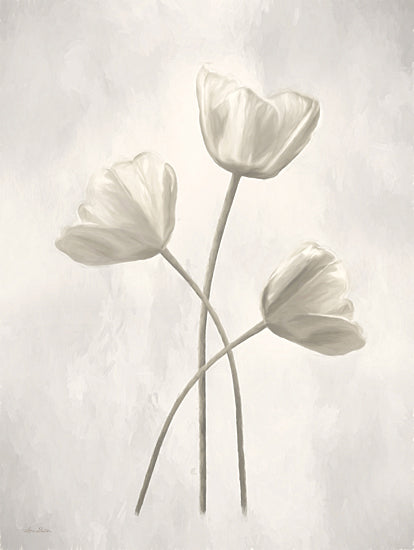 Lori Deiter LD2212 - LD2212 - Bleached Tulips II - 12x16 Tulips, Flowers, Botanical, Photography from Penny Lane