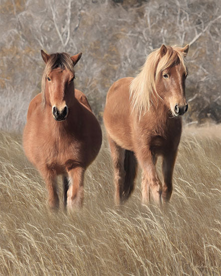 Lori Deiter LD2287 - LD2287 - Assateague Horses IV - 12x16 Horses, Assateague Horses, Fields, Photography from Penny Lane