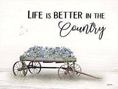 LD2332 - Life is Better in the Country - 16x12