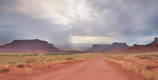 Lori Deiter LD2353 - LD2353 - Colorado Country Roads - 18x9 Colorado, Roads, Mountains, Landscape, Photography, Nature from Penny Lane