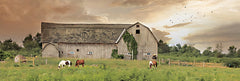 LD2386A - Sunset Grazing - 36x12