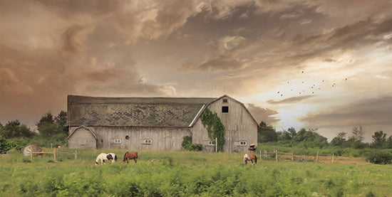 Lori Deiter LD2386 - LD2386 - Sunset Grazing - 18x9 Photography, Barn, Farm, Horses, Grazing, Landscape from Penny Lane