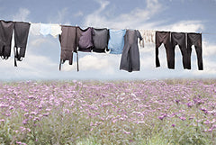 LD2390 - Laundry Day - 18x12