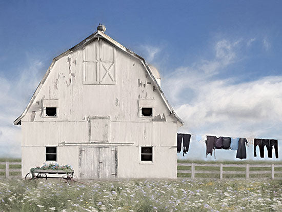 Lori Deiter LD2391 - LD2391 - Amish Laundry - 16x12 Barn, White Barn, Farm, Laundry, Laundry Room, Amish, Religion, Clothes, Clothesline, Photography from Penny Lane